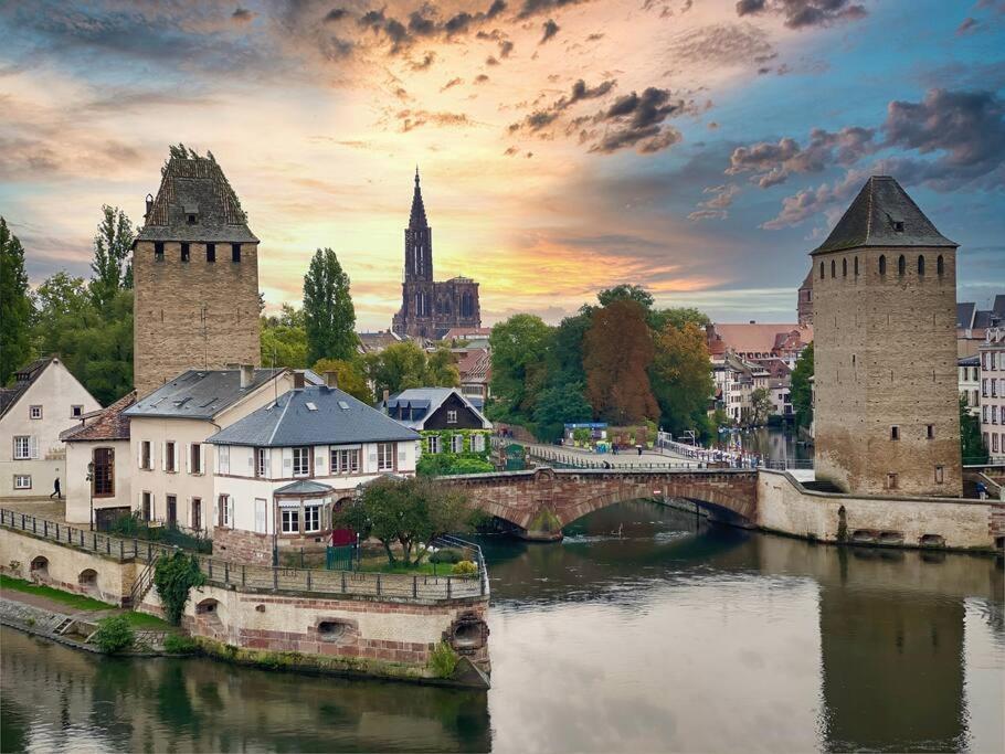 Apartament Le Jardin Paisible-Proche Centre Obernai Zewnętrze zdjęcie