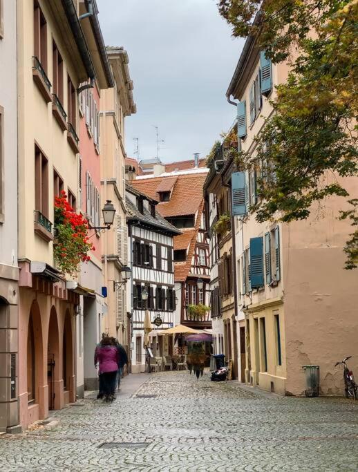 Apartament Le Jardin Paisible-Proche Centre Obernai Zewnętrze zdjęcie